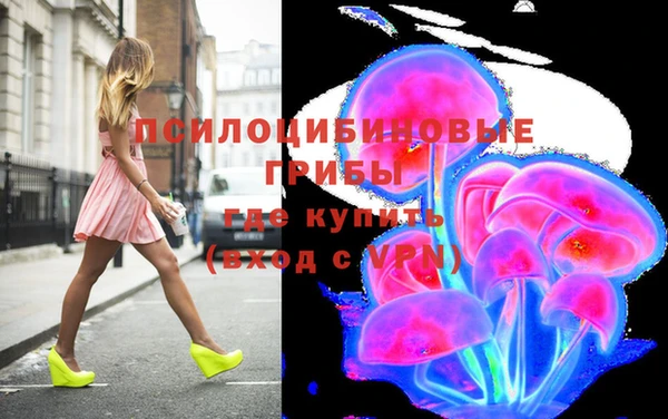 эйфоретик Алексин