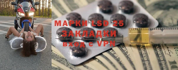прущие грибы Алексеевка