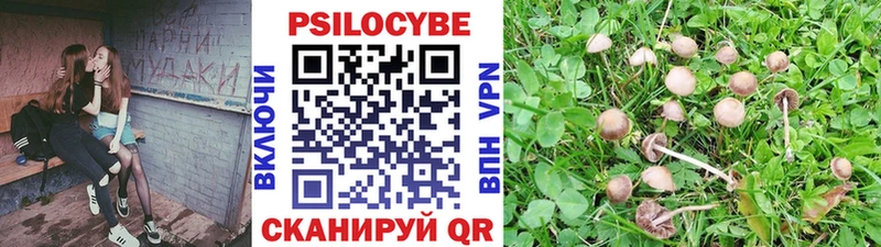 Галлюциногенные грибы ЛСД  Майкоп 