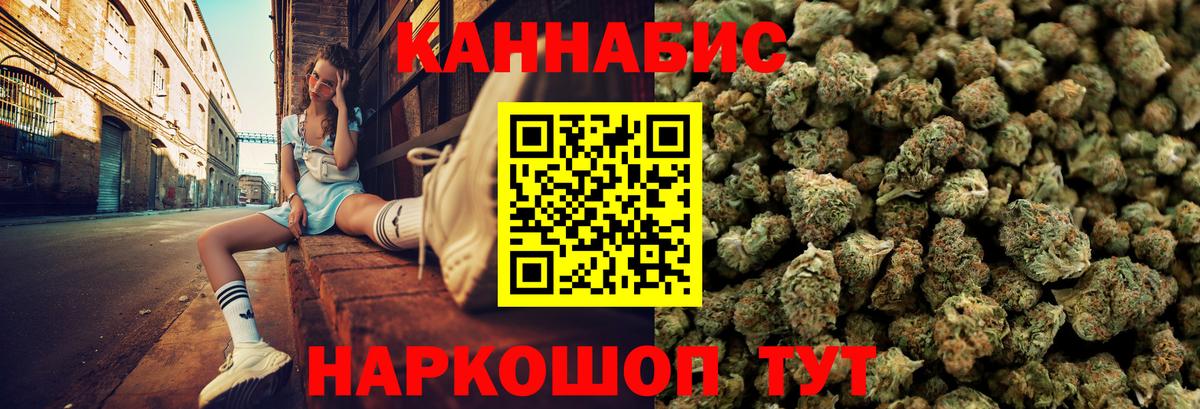 Бошки Шишки планчик Майкоп